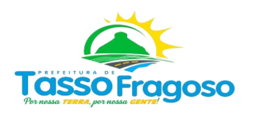 Logo do Orgão no Rodapé
